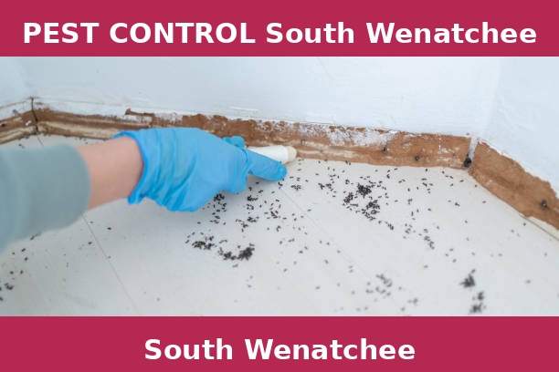 PEST CONTROL South Wenatchee